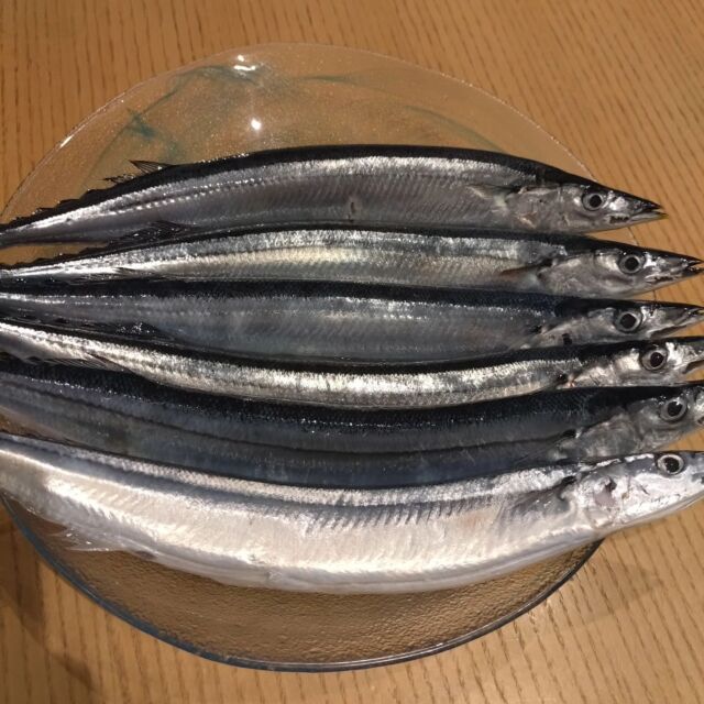 皆様ご無沙汰しております。
本日は秋刀魚入荷致しました！
焼きと刺身でご用意しておりますので、是非ご来店下さいませ！
#平和島居酒屋
#大田区蕎麦
#平和島蕎麦
#蕎麦スタグラム
#飲酒タグラム
#日本酒
#へぎそば

#秋の味覚